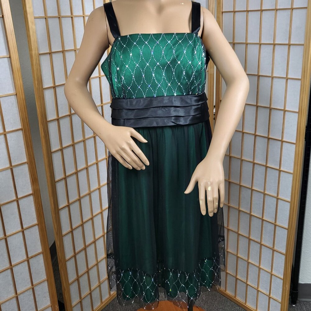 R & M Richards green and black fancy dress with crystal accents NWOT size 18W
